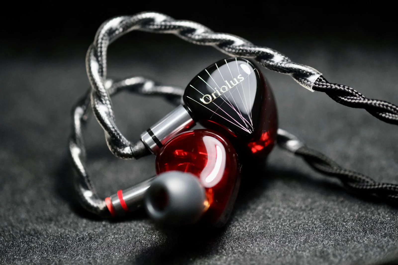 Oriolus Traillii JP Black and Red